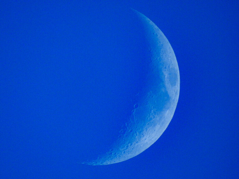DSCN0613 1