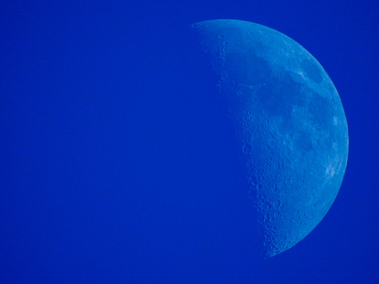 DSCN0619 1