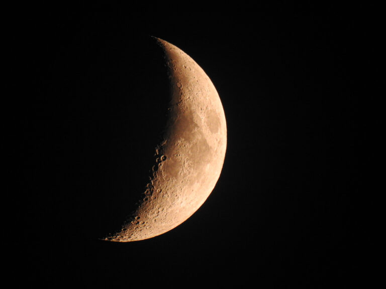 DSCN1413 1