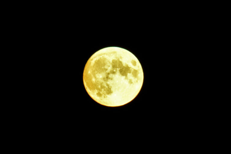 IMG 4334 (2) 1